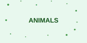 Animals